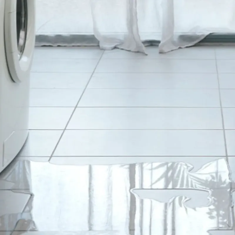 Appliance Leak Cleanup in Chico, CA
