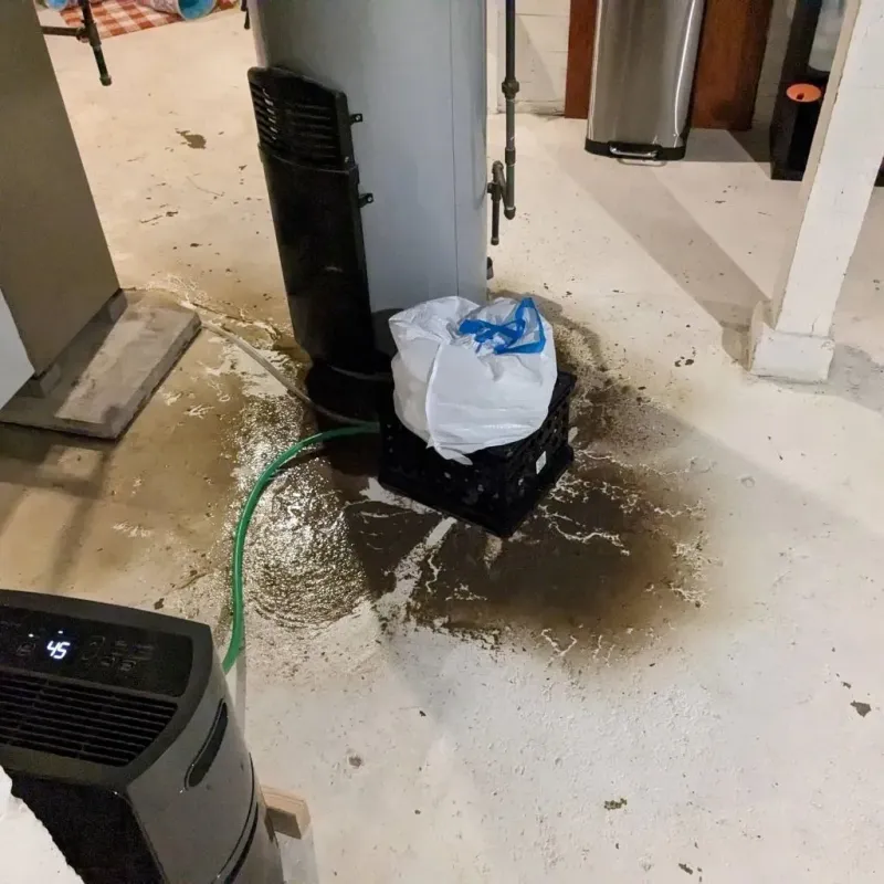Sewage Backup Cleanup Service in Chico, CA